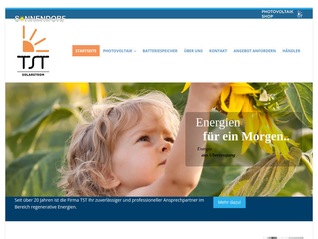 Website von T.S.T Solarstrom in Schönau