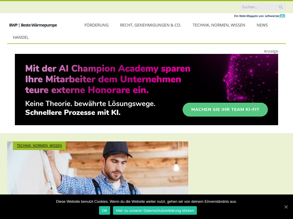 Website von Schwarzer.de Software + Internet GmbH in Mainz