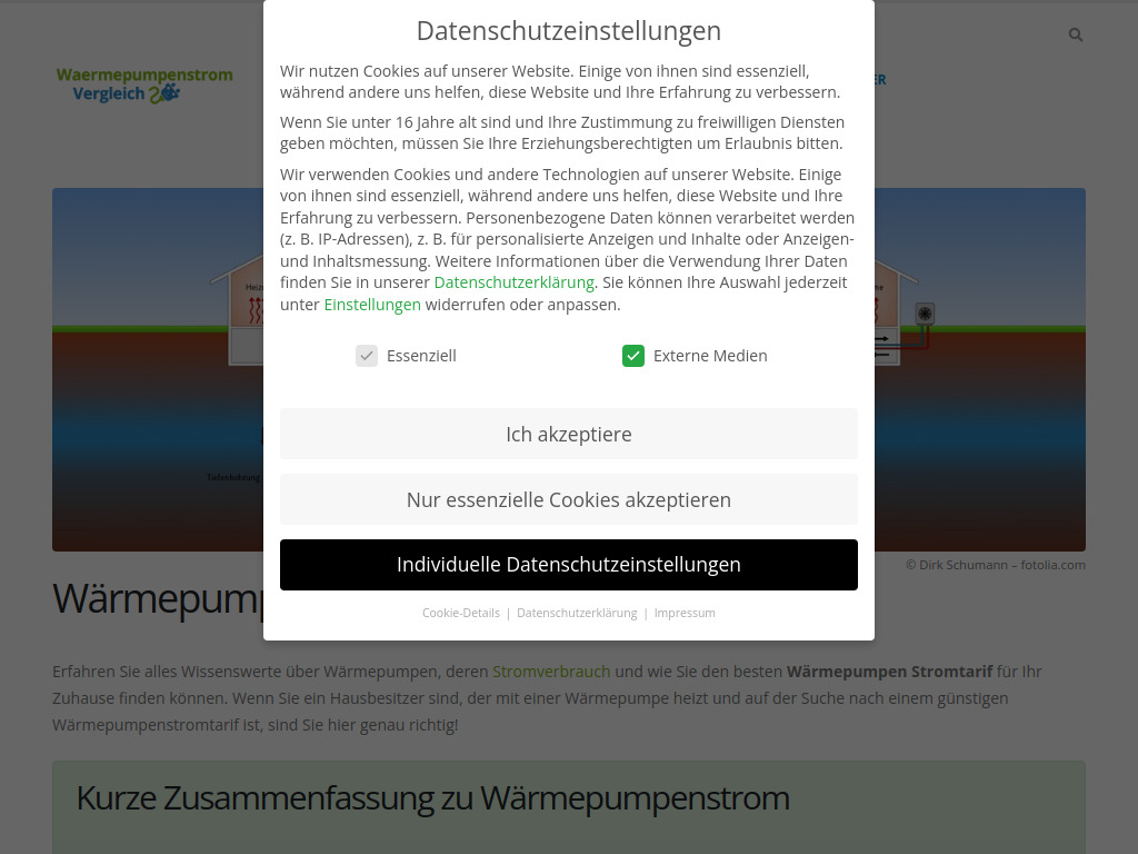Website von Einzelunternehmen Ayhan Balin in Trittau